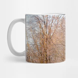 Frozen trees shimmering in the dawn sun Mug